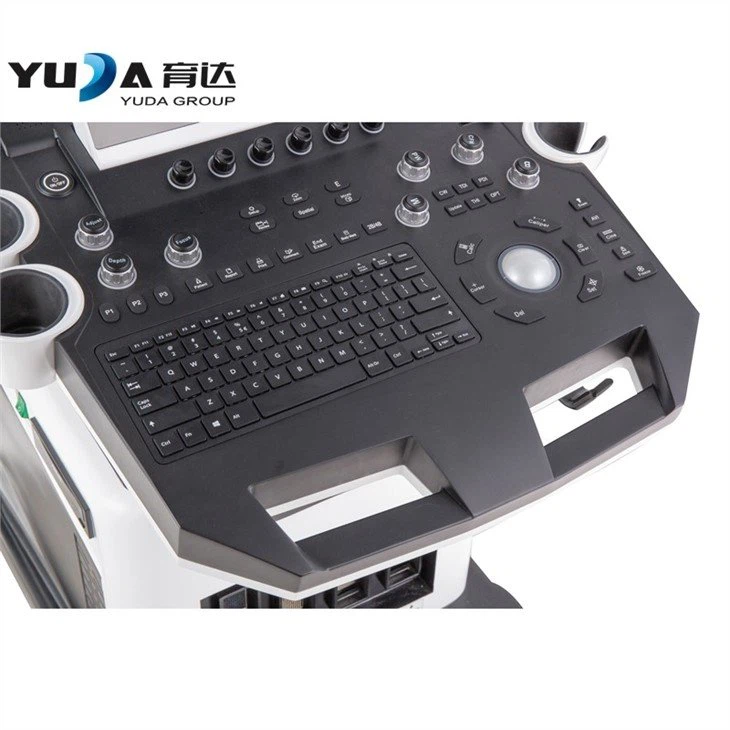 Medical Ultrasonic Diagnostic System 4D